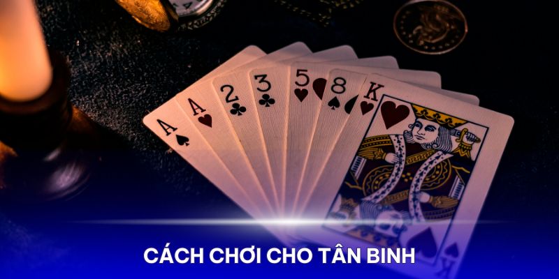 Cách chơi bài binh 9 lá chuẩn xác cho tân binh