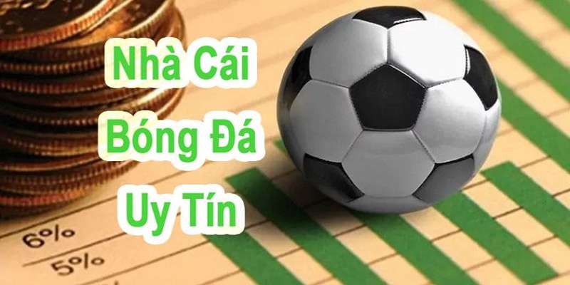 Cá cược bóng đá đa dạng kèo cược