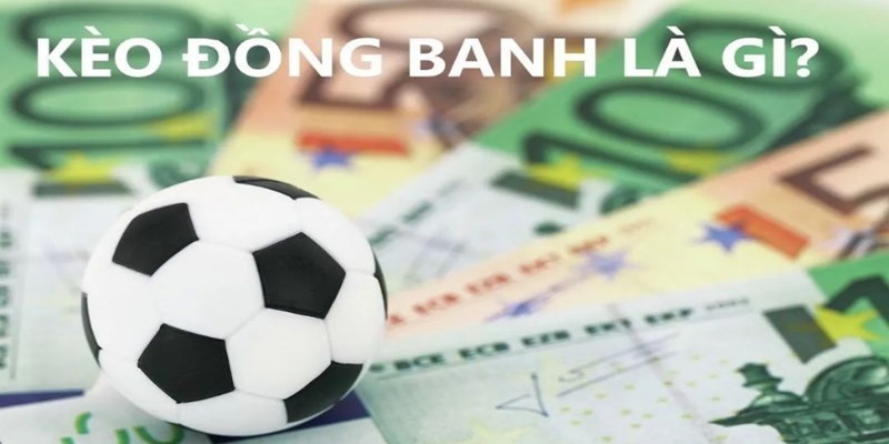 Tìm hiểu về cửa dự đoán đồng banh phổ biến hiện nay