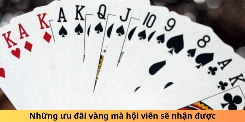 Những ưu đãi vàng mà hội viên sẽ nhận được