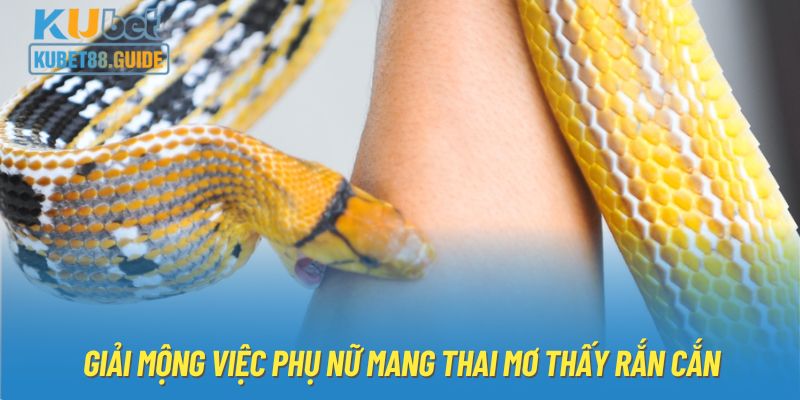 Giải mộng việc phụ nữ mang thai mơ thấy rắn cắn