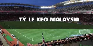 Cách Soi Kèo Malaysia Hiệu Quả Nhất Cho Các Tân Thủ