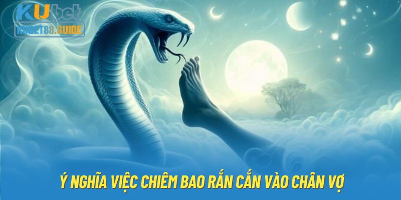 Ý nghĩa việc chiêm bao rắn cắn vào chân vợ