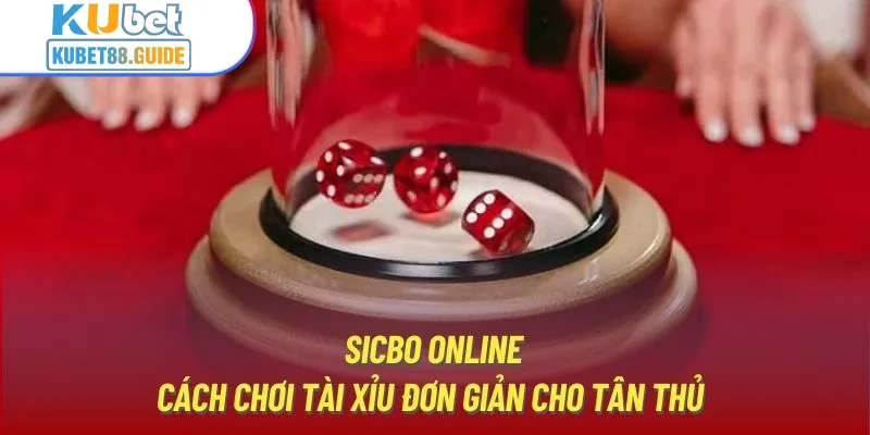 Sicbo Online | Cách Chơi Tài Xỉu Đơn Giản Cho Tân Thủ 